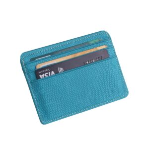 zilou-pasjeshouder-codi-lichtblauw